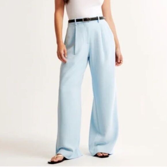 Abercrombie & Fitch Sloane Tailored & Pleated Sky Blue Pants Curve Love Size 27L - Picture 1 of 8